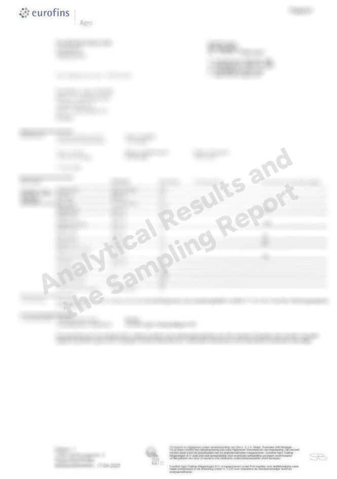 Certificate Preview